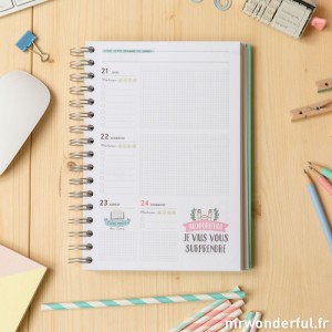 L'agenda Mr Wonderful est proche de ce que je cherche...dans l'esprit : la grille est sans horaires